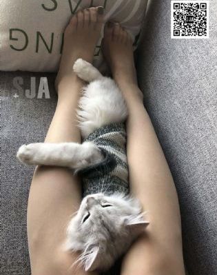 99热99_在线观看免费版